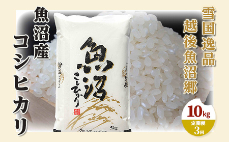 yցFፑi 10kg×3zz㋛ YRVqJ  l Ra ~l  R wJ   S ɏ