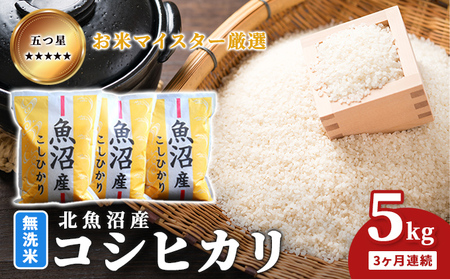 ܂ă}CX^[I ĖkYRVqJ 5kg 3A   aH uh  ɂ ٓ Yn Ă