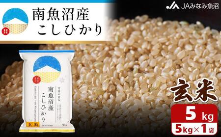 [令和6年産＼新米/]南魚沼産こしひかり玄米5kg