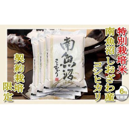 【令和7年産】【定期配送６Kg×９ヶ月】特別栽培 生産者限定  南魚沼しおざわ産コシヒカリ【定期便 銘柄米 ブランド米 精米 こしひかり コシヒカリ 魚沼産 新潟米 産地直送 お米 米 こめ コメ ご飯 御飯 ごはん】