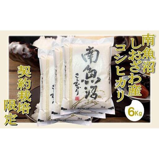 【令和7年産】【精米6Kg】契約栽培限定 南魚沼しおざわ産コシヒカリ【銘柄米 ブランド米 精米 こしひかり コシヒカリ 魚沼産 新潟米 産地直送 お米 米 こめ コメ ご飯 御飯 ごはん】