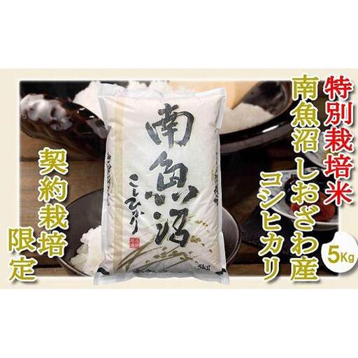 【令和7年産】【精米５Kg】特別栽培 生産者限定  南魚沼しおざわ産コシヒカリ【銘柄米 ブランド米 精米 こしひかり コシヒカリ 魚沼産 新潟米 産地直送 お米 米 こめ コメ ご飯 御飯 ごはん】