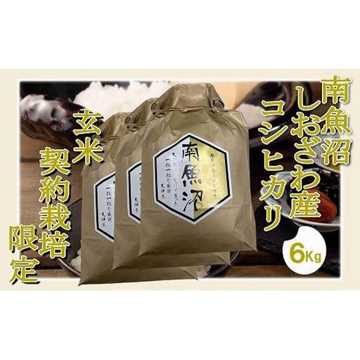 【令和7年産】【玄米６Kg】●玄米● 生産者限定 南魚沼しおざわ産コシヒカリ【銘柄米 ブランド米 玄米 こしひかり コシヒカリ 魚沼産 新潟米 産地直送 お米 米 こめ コメ ご飯 御飯 ごはん】