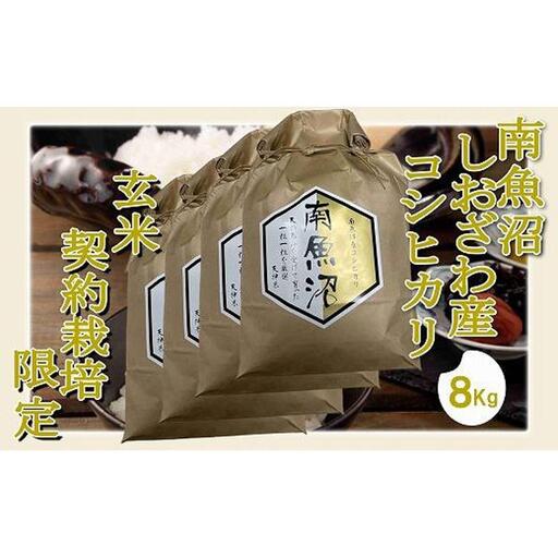 【令和7年産】【玄米８Kg】●玄米● 生産者限定 南魚沼しおざわ産コシヒカリ【銘柄米 ブランド米 玄米 こしひかり コシヒカリ 魚沼産 新潟米 産地直送 お米 米 こめ コメ ご飯 御飯 ごはん】