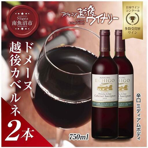 ドメーヌ・越後カベルネ 赤 750ml 2本セット アグリコア 越後ワイナリー 南魚沼市産カベルネソーヴィニヨン 辛口 ミディアムボディ 度数12% 国産 魚沼ワイン 送料無料 新潟県 南魚沼市