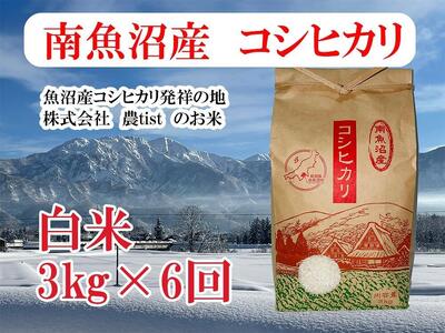 yߘa7NYzy 싛YzRVqJ 3kg×6y2025N9{菇\z