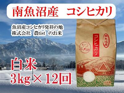 【定期便 南魚沼産】コシヒカリ 白米3kg×12回