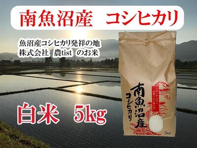 yߘa7NYzy싛YzRVqJ 5kgy2025N9{菇\z