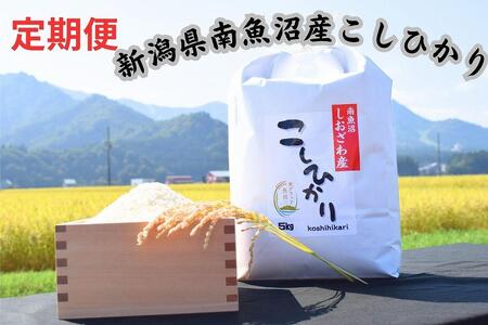 [定期便]新潟県南魚沼市の豊かな自然が育んだ、極上のコシヒカリ 5キロ×6か月