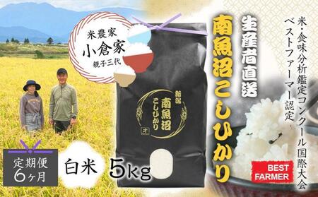 [生産者直送][定期便6ヶ月][令和6年産 新米予約]南魚沼産こしひかり5kg×全6回 合計30kg 白米 オグライスファーム[コシヒカリ 精米 農家直送]