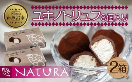 ユキノトリュフ 8個 2箱 チョコレート ココア おやつ スイーツ  洋菓子 バレンタイン 誕生日 お祝い 贈り物 ギフト お取り寄せ 冷凍 グルメ パーティー 魚野の里 ナトゥーラ 新潟県 南魚沼市