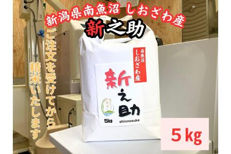 V싛Y@VV@5kg@嗱Ńc邱܂łɂȂ
