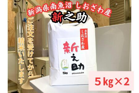 V싛Y@VV@10kg@嗱Ńc邱܂łɂȂ