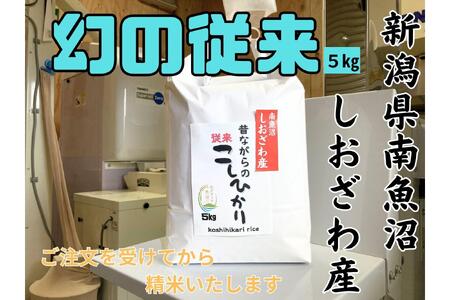n̐lɈꑱĂ̂Ȃ̏]RVqJ 5kg@V싛Y