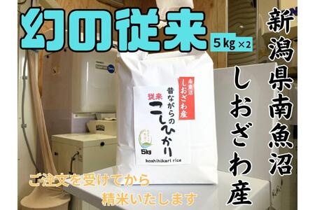 n̐lɈꑱĂ̂Ȃ̏]RVqJ 10kg@V싛Y