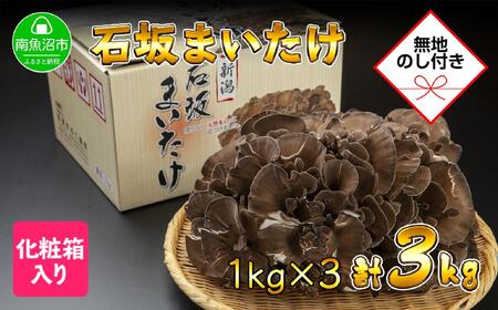 【無地のし】 新潟県 南魚沼産 厳選 国産 石坂 高級 舞茸 まいたけ 産地直送 1kg ×3箱 計3kg 贈り物 ギフト お中元 お歳暮 石坂きのこ