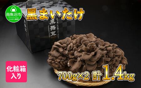 新潟県 南魚沼産 厳選 国産 黒 高級 舞茸 まいたけ 産地直送 700g ×2箱 計1.4kg