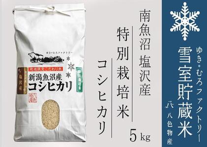 【令和７年産新米予約】特別栽培 雪室貯蔵米 南魚沼塩沢産コシヒカリ5kg　【2025年10月下旬より順次発送予定】