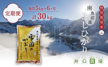 [令和6年産新米予約/令和6年10月上旬より順次発送][定期便]5kg×6ヶ月 南魚沼産コシヒカリ 井口農場 こだわりの 特別栽培米[クラウドファンディング対象]