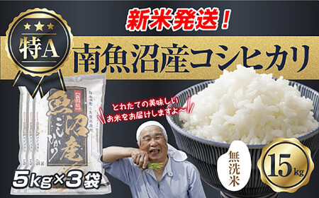 �u�����āv �ߘa7�N�Y �V���� �싛���Y �R�V�q�J�� ���� 5kg×3�� �v 15kg ���čς݁i���Ă̔��������������K�C�h�t���j ���� ���� ���� �����Ђ��� �H�i �l�C ��������  ���� �싛�� �싛���s