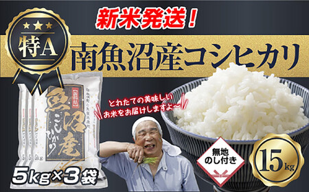 �u���n�̂��v �ߘa7�N�Y �V���� �싛���Y �R�V�q�J�� ���� 5kg×3�� �v 15kg ���čς݁i���Ă̔��������������K�C�h�t���j ���� ���� ���� �����Ђ��� �H�i �l�C �������� ���� �싛�� �싛���s