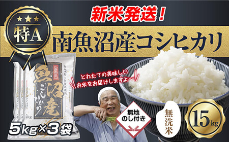 ���n�̂� �u�����āv  �ߘa7�N�Y �V���� �싛���Y �R�V�q�J�� ���� 5kg×3�� �v 15kg ���čς݁i���Ă̔��������������K�C�h�t���j ���� ���� ���� �����Ђ��� ���� �싛�� �싛���s �V�����Y