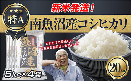 �ߘa7�N�Y �V���� �싛���Y �R�V�q�J�� ���� 5kg×4�� �v 20kg ���čς݁i���Ă̔��������������K�C�h�t���j ���� ���� ���� �����Ђ��� �H�i �l�C �������� ���� �싛�� �싛���s �V�����Y �V