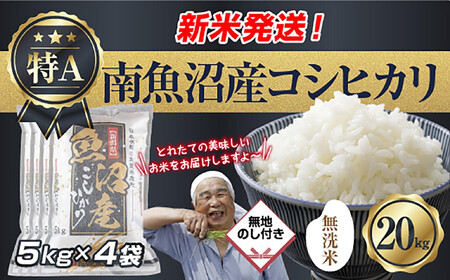 ���n�̂� �u�����āv �ߘa7�N�Y �V���� �싛���Y �R�V�q�J�� ���� 5kg×4�� �v 20kg ���čς݁i���Ă̔��������������K�C�h�t���j ���� ���� ���� �����Ђ��� ���� �싛�� �싛���s �V�����Y �V