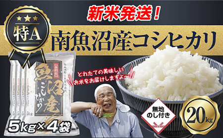 �u���n�̂��v �ߘa7�N�Y �V���� �싛���Y �R�V�q�J�� ���� 5kg×4�� �v 20kg ���čς݁i���Ă̔��������������K�C�h�t���j ���� ���� ���� �����Ђ��� �H�i �l�C ��������  ���� �싛�� �싛��