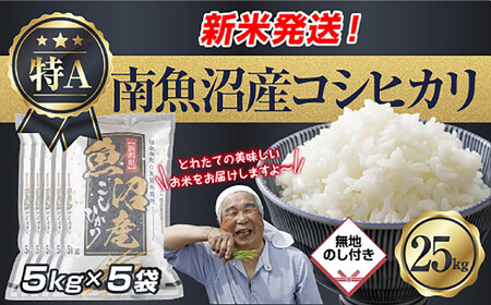 �u���n�̂��v �ߘa7�N�Y �V���� �싛���Y �R�V�q�J�� ���� 5kg×5�� �v 25kg ���čς݁i���Ă̔��������������K�C�h�t���j ���� ���� ���� �����Ђ��� �H�i �l�C ��������  ���� �싛�� �싛��