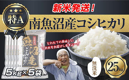 �u�����āv �ߘa7�N�Y �V���� �싛���Y �R�V�q�J�� ���� 5kg×5�� �v 25kg ���čς݁i���Ă̔��������������K�C�h�t���j ���� ���� ���� �����Ђ��� �H�i �l�C ��������  ���� �싛�� �싛���s