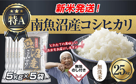 ���n�̂� �u�����āv �ߘa7�N�Y �V���� �싛���Y �R�V�q�J�� ���� 5kg×5�� �v 25kg ���čς݁i���Ă̔��������������K�C�h�t���j ���� ���� ���� �����Ђ��苛�� �싛�� �싛���s �V�����Y �V