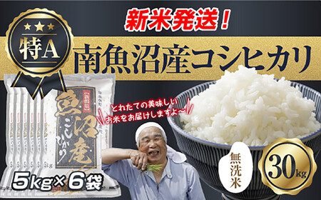 �u�����āv �ߘa7�N�Y �V���� �싛���Y �R�V�q�J�� ���� 5kg×6�� �v 30kg ���čς݁i���Ă̔��������������K�C�h�t���j ���� ���� ���� �����Ђ��� �H�i �l�C ��������  ���� �싛�� �싛���s