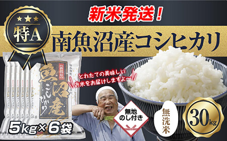 ���n�̂� �u�����āv �ߘa7�N�Y �V���� �싛���Y �R�V�q�J�� ���� 5kg×6�� �v 30kg ���čς݁i���Ă̔��������������K�C�h�t���j ���� ���� ���� �����Ђ���  ���� �싛�� �싛���s �V�����Y