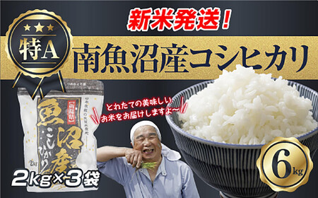 �ߘa7�N�Y �V���� �싛���Y �R�V�q�J�� ���� 2kg×3�� �v 6kg ���čς݁i���Ă̔��������������K�C�h�t���j ���� ���� ���� �����Ђ��� �H�i �l�C ��������  ���� �싛�� �싛���s �V�����Y �V