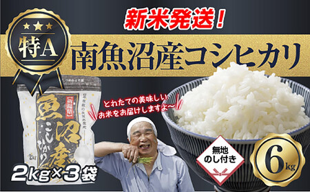 �u���n�̂��v �ߘa7�N�Y �V���� �싛���Y �R�V�q�J�� ���� 2kg×3�� �v 6kg ���čς݁i���Ă̔��������������K�C�h�t���j ���� ���� ���� �����Ђ��� �H�i �l�C ��������  ���� �싛�� �싛���s