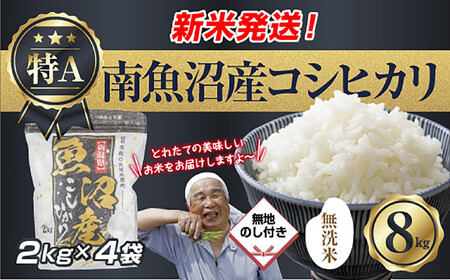 ���n�̂� �u�����āv  �ߘa7�N�Y �V���� �싛���Y �R�V�q�J�� ���� 2kg×4�� �v 8kg ���čς݁i���Ă̔��������������K�C�h�t���j ���� ���� ���� �����Ђ��苛�� �싛�� �싛���s �V�����Y �V