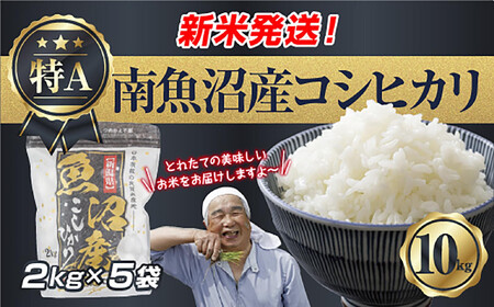 �ߘa7�N�Y �V���� �싛���Y �R�V�q�J�� ���� 2kg×5�� �v 10kg ���čς݁i���Ă̔��������������K�C�h�t���j ���� ���� ���� �����Ђ��� �H�i �l�C �������ߋ��� �싛�� �싛���s �V�����Y �V��