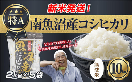 �u�����āv �ߘa7�N�Y �V���� �싛���Y �R�V�q�J�� ���� 2kg×5�� �v 10kg ���čς݁i���Ă̔��������������K�C�h�t���j ���� ���� ���� �����Ђ��� �H�i �l�C ��������  ���� �싛�� �싛���s