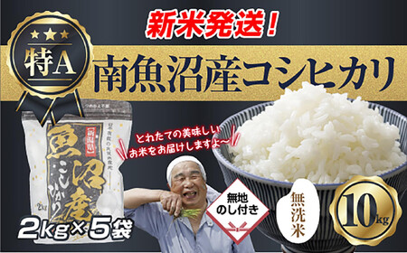 ���n�̂� �u�����āv �ߘa7�N�Y �V���� �싛���Y �R�V�q�J�� ���� 2kg×5�� �v 10kg ���čς݁i���Ă̔��������������K�C�h�t���j ���� ���� ���� �����Ђ��� �H�i���� �싛�� �싛���s �V����