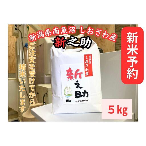 【令和8年産・新米予約】新潟県南魚沼産　新之助　5kg　大粒でツヤがあるこれまでにないお米【銘柄米 ブランド米 精米 新之助 魚沼産 新潟米 産地直送 お米 米 こめ コメ】【2026年10月中旬より1ヶ月以内に順次発送予定】