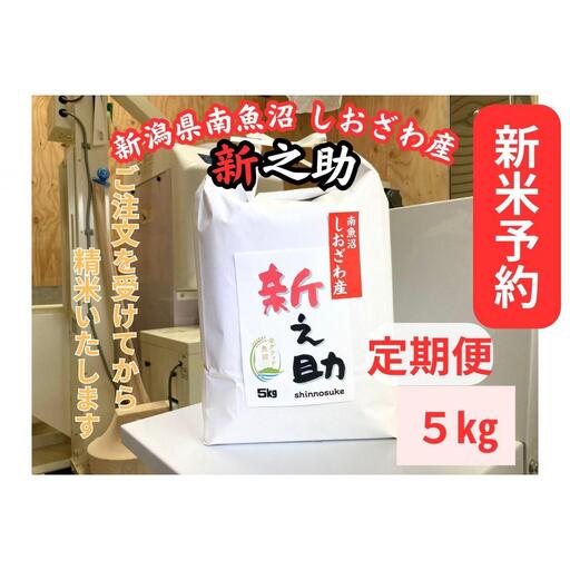 【令和8年産・新米予約・定期便】新潟県南魚沼産　新之助　5kg×３か月　大粒でツヤがあるこれまでにないお米【定期便 銘柄米 ブランド米 精米 新之助 魚沼産 新潟米】【2026年10月中旬より1ヶ月以内に順次発送予定】