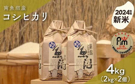 [新米]令和6年産「五つ星お米マイスター」の南魚沼産コシヒカリ 精米4kg(2kg×2個)