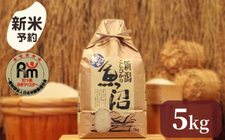 yVāzߘaVNYu܂ă}CX^[v̓싛YRVqJ@5kg