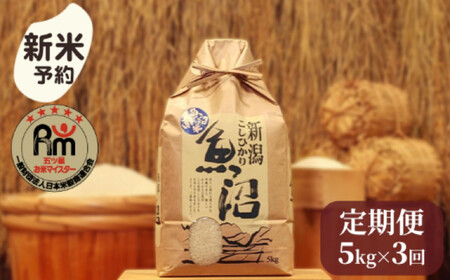 yVāzߘaVNYu܂ă}CX^[v̓싛YRVqJ@5kg×Riցj