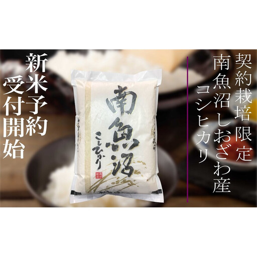 【令和8年産　新米予約】定期便3ヶ月：精米10Kg 契約栽培限定 南魚沼しおざわ産コシヒカリ【定期便 銘柄米 ブランド米 精米 こしひかり コシヒカリ 魚沼産 新潟米 ごはん】【2026年10月上旬から1ヶ月以内に順次発送予定】
