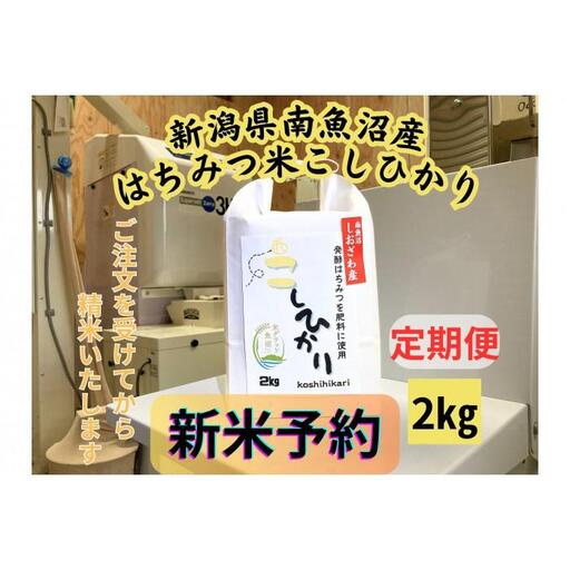 【令和8年産・新米予約・定期便】新潟県南魚沼産（塩沢地区）はちみつ米コシヒカリ 2kg×６か月　※蜂蜜発酵液肥料栽培【定期便 銘柄米 ブランド米 精米 こしひかり】【2026年9月下旬より1ヶ月以内に順次発送予定】