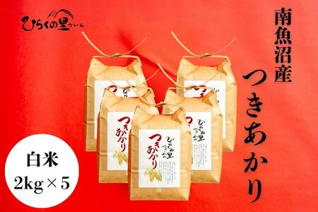 yR7NYz싛Y 2kg×5 艐₩I Ђ炭̗t@[