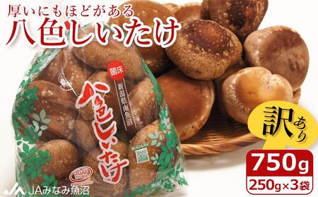 yƒpzɂقǂuFv750gi250g×3܁j󂠂 s낢 _Ɖ