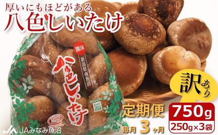 【JAみなみ魚沼定期便】家庭用「八色しいたけ」（750g×全3回） 訳あり 不ぞろい 農家応援 厚いにもほどがある